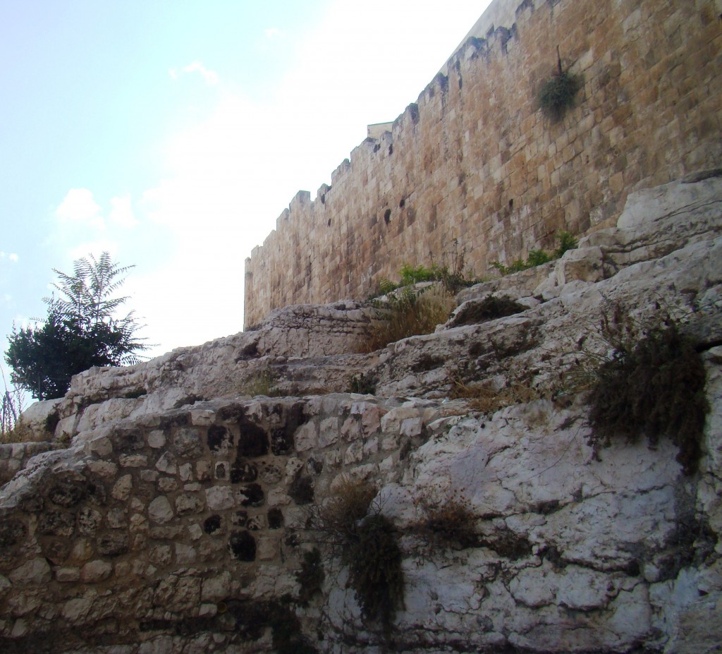 Jerusalem Quarter -Archeological Park (31)