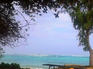 Playa en Oahu