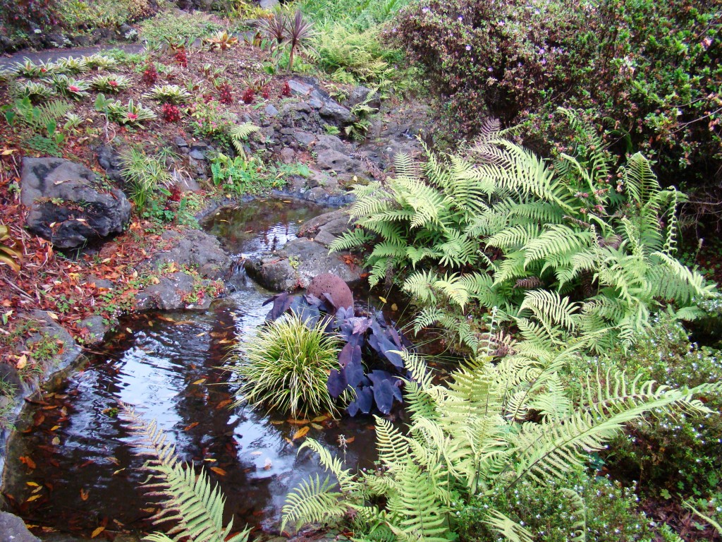 Aguas Refrescantes