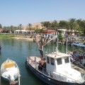 Bajo el Monte de las Bienaventuranzas