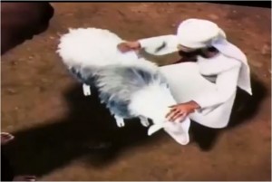El Sacerdote examinando a la oveja