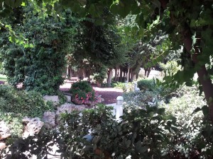 Jardines de paz