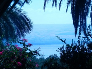 To Mount of Beatitudes - Sermon of the Mount (13)