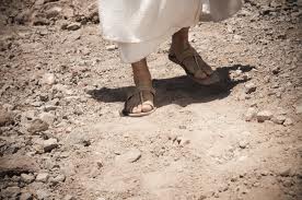 feet