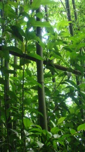DSC08180