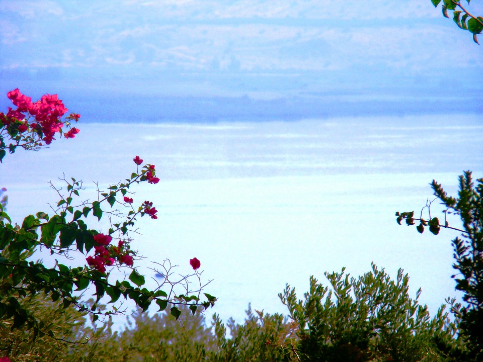 To Mount of Beatitudes - Sermon of the Mount (21)