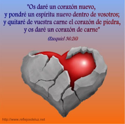 Imagen31