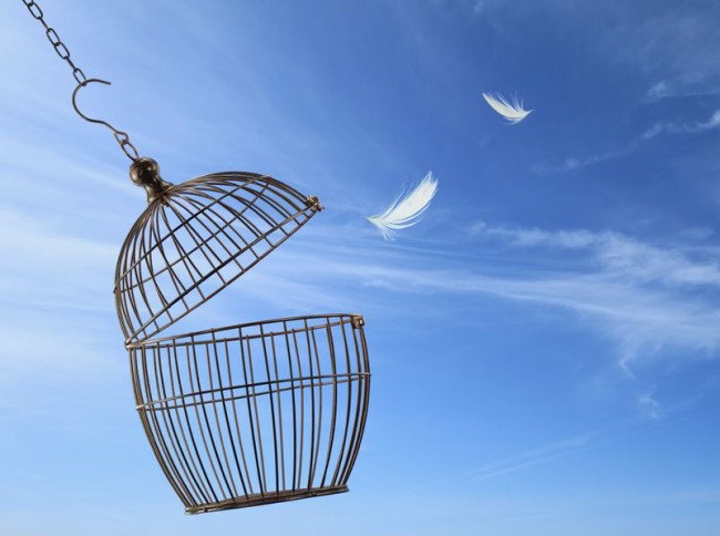 Every-Prisoner-Set-Free-13733592_m-purchased-123rf.com_-e1396286979585