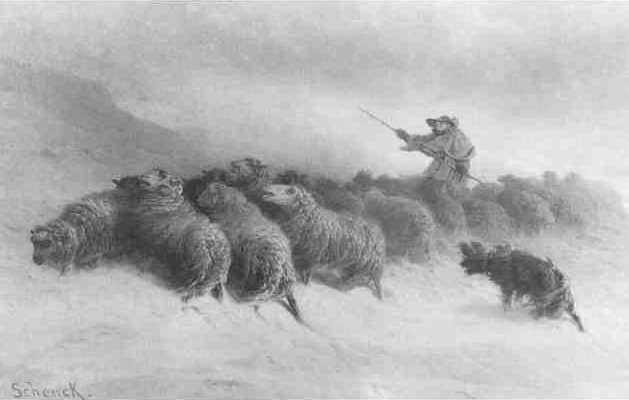 schenckashepherddrivingstorm1